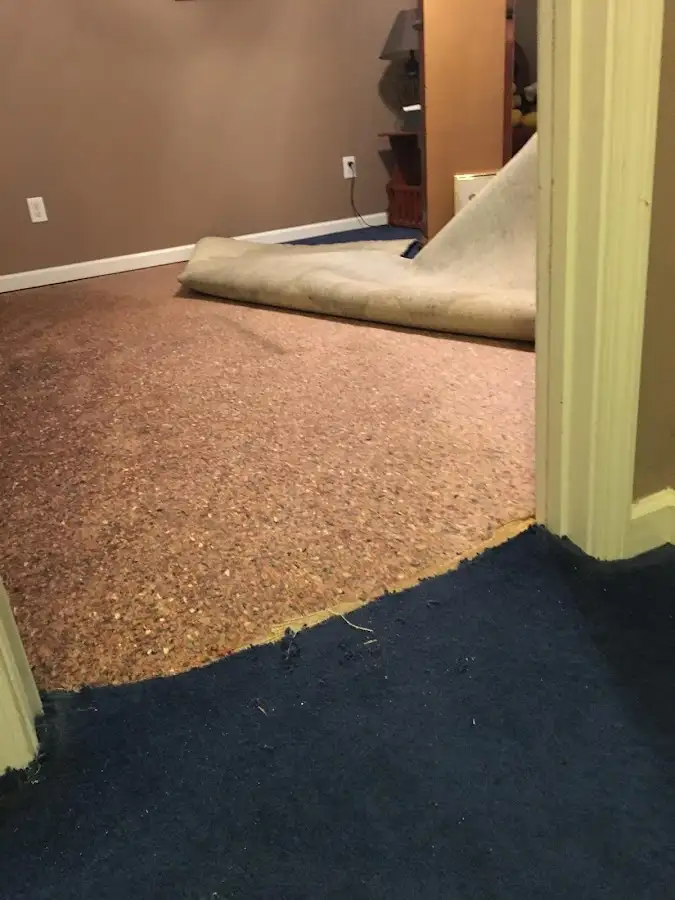 Carpet pad removal revealing water damage during Drying & Dehumidification in West Bloomfield