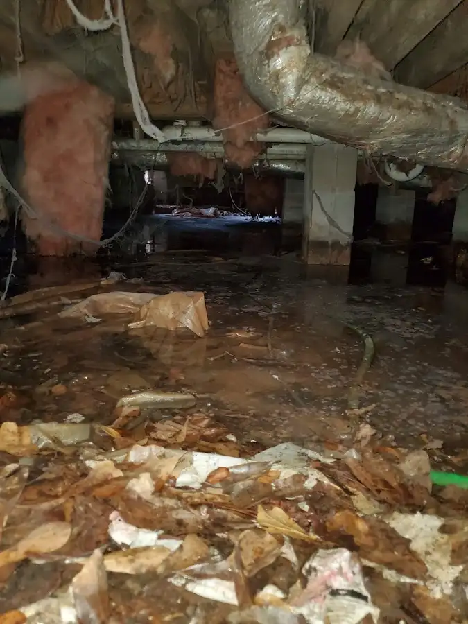 Crawl space flood assessment for Leak Detection & Repair in West Bloomfield