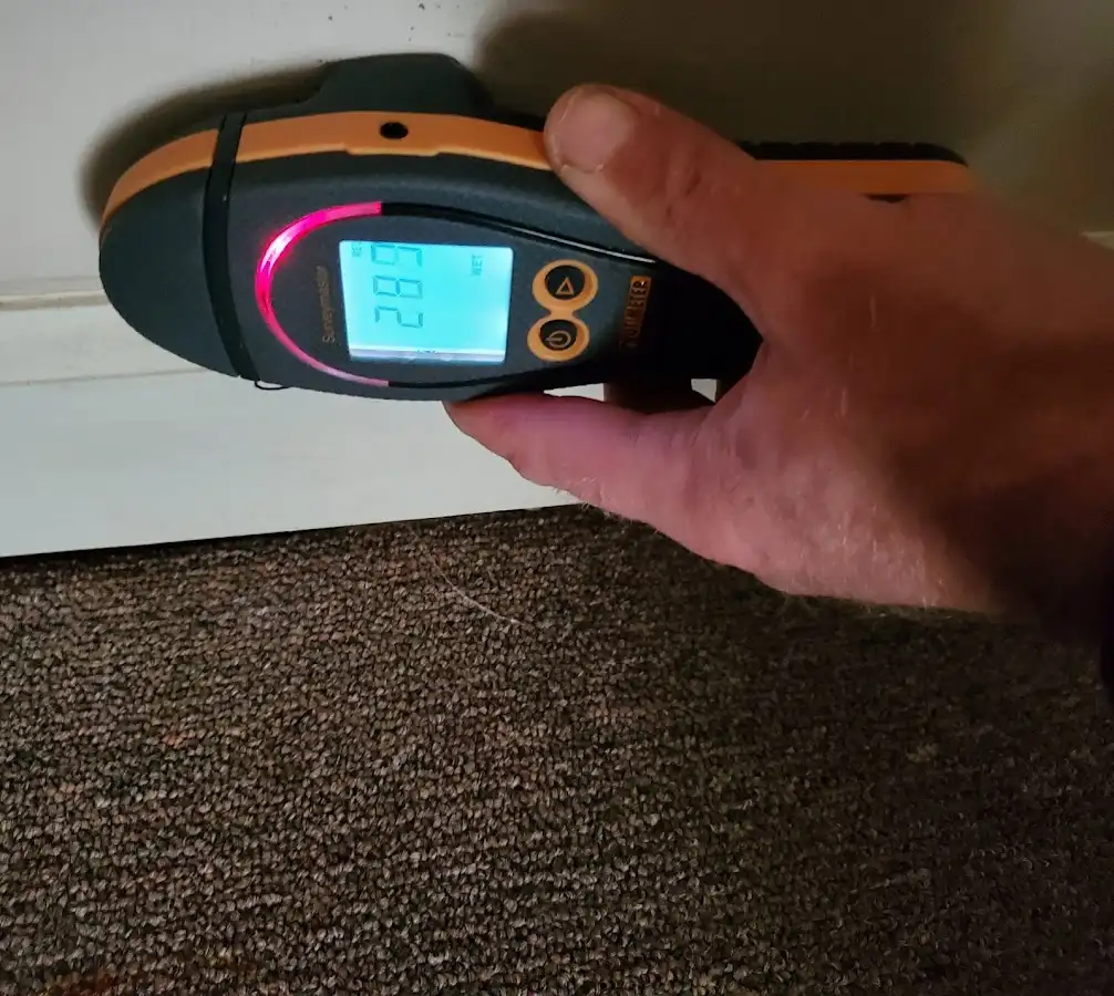 Moisture detection at baseboard during Sewage Cleanup & Sanitation in West Bloomfield